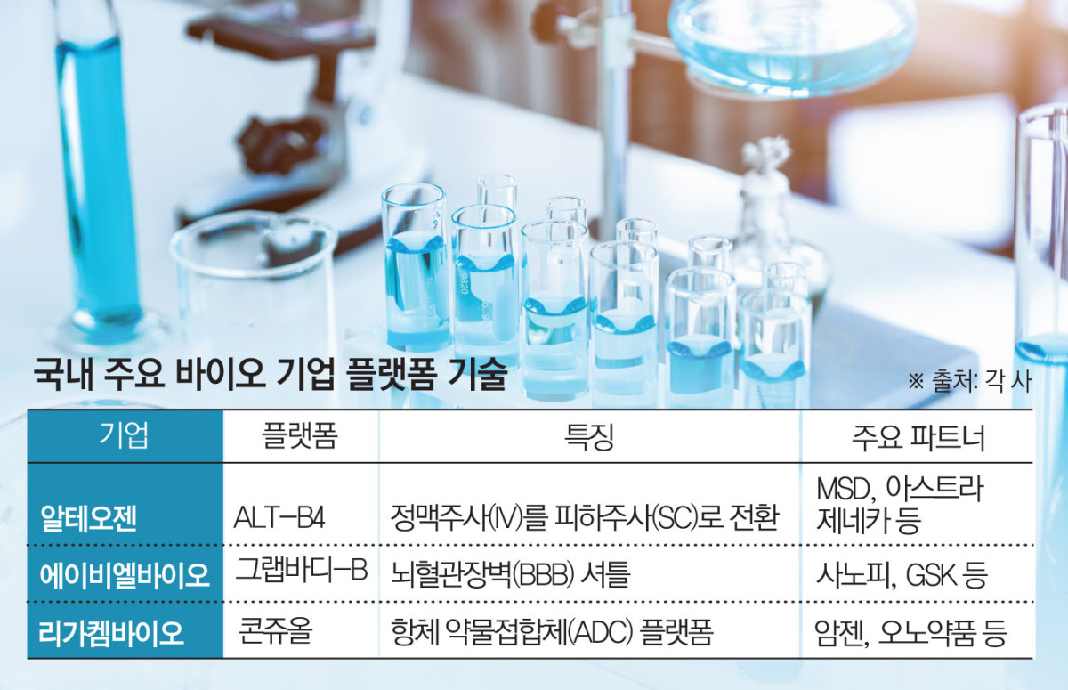 (그래픽=김소영 기자 sue@)