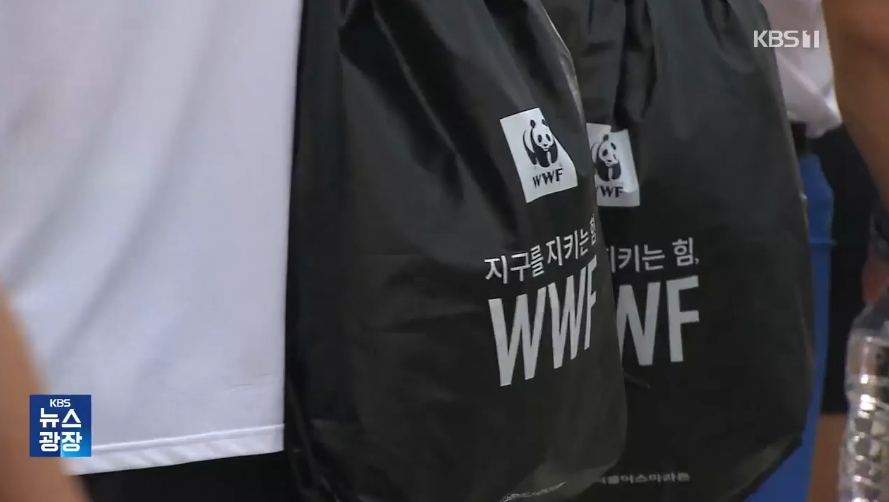 (출처=KBS 뉴스 캡처)