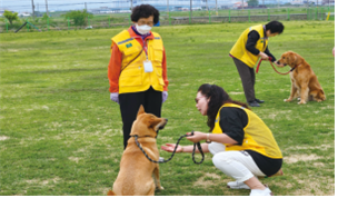 ▲반려견·농장동물 활용 동물교감치유 프로그램 활동 사진.(국립축산과학원)