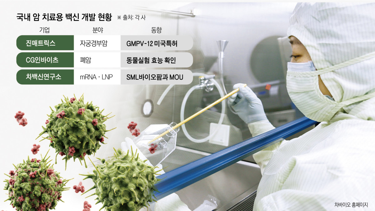 예방 넘어 치료로…암 백신 기술력 키우는 K바이오