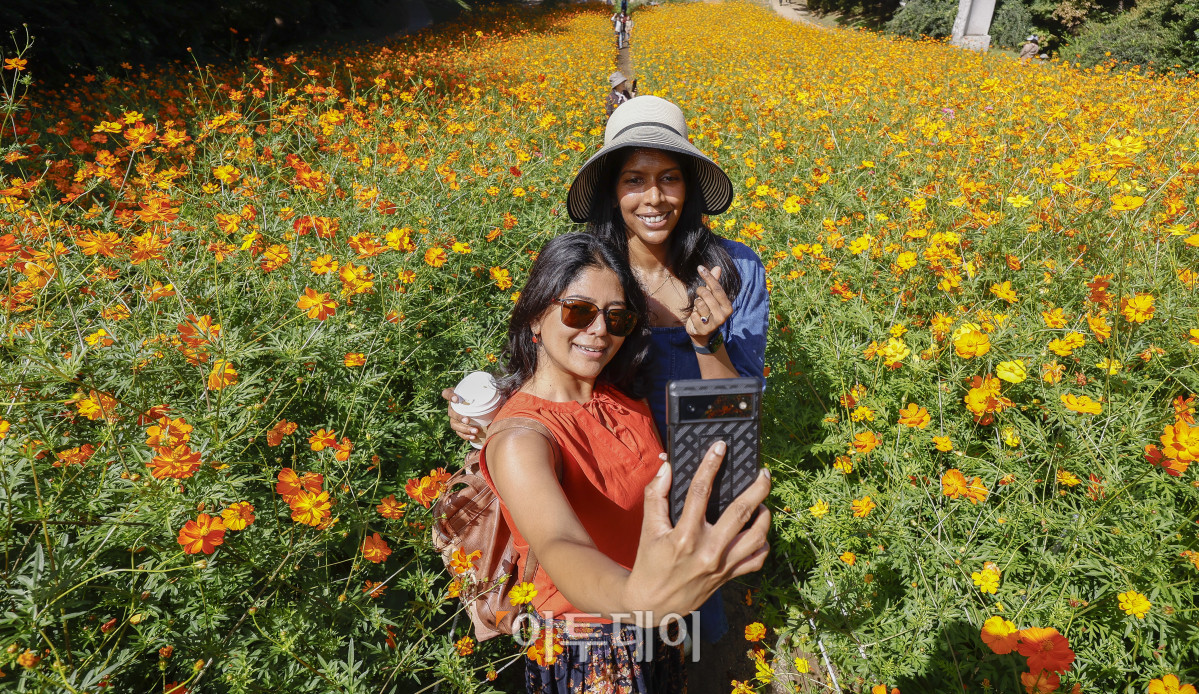 ▲조현호 기자 hyunho@