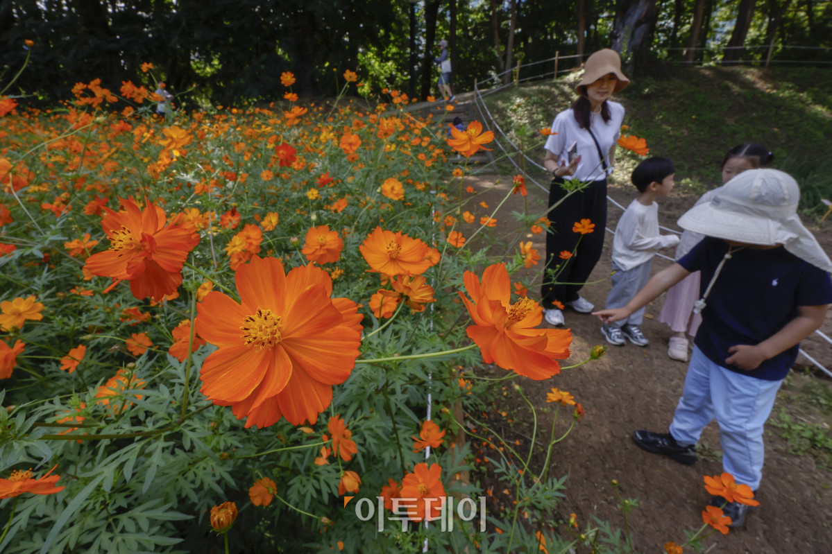 (조현호 기자 hyunho@)