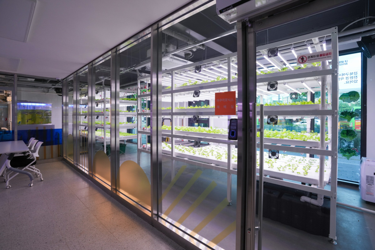▲강북구 스마트팜 센터 1층의 아쿠아포닉스 재배실  (강북구)