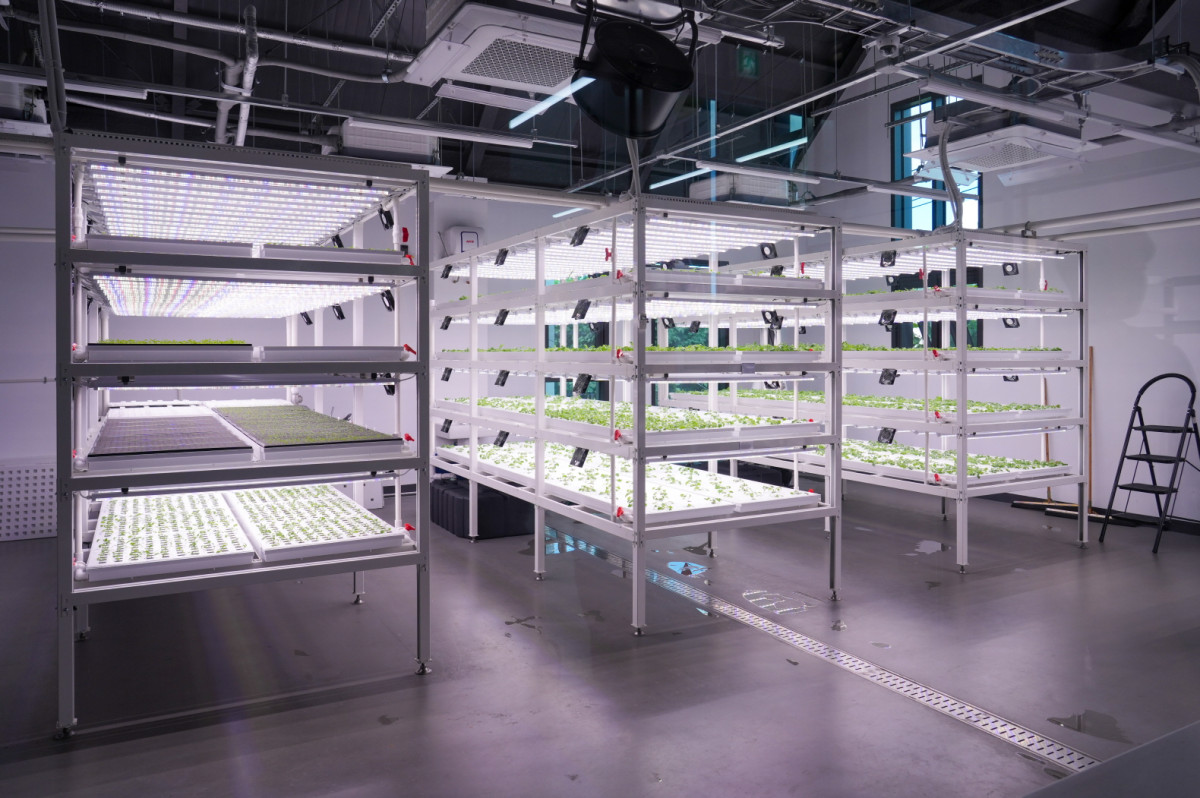 ▲강북구 스마트팜 센터 3층의 엽채류 재배실  (강북구)