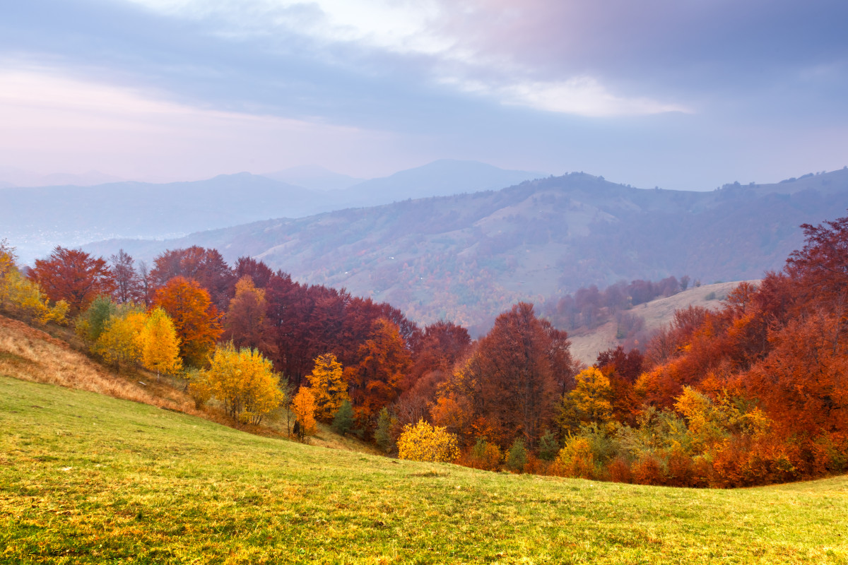 ▲(게티이미지뱅크)