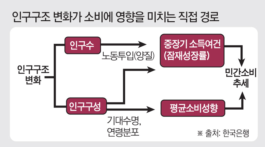 ▲ 인구 구조 변화가 소비에 영향을 미치는 직접 경로. (그래픽 = 김소영 기자 sue@)