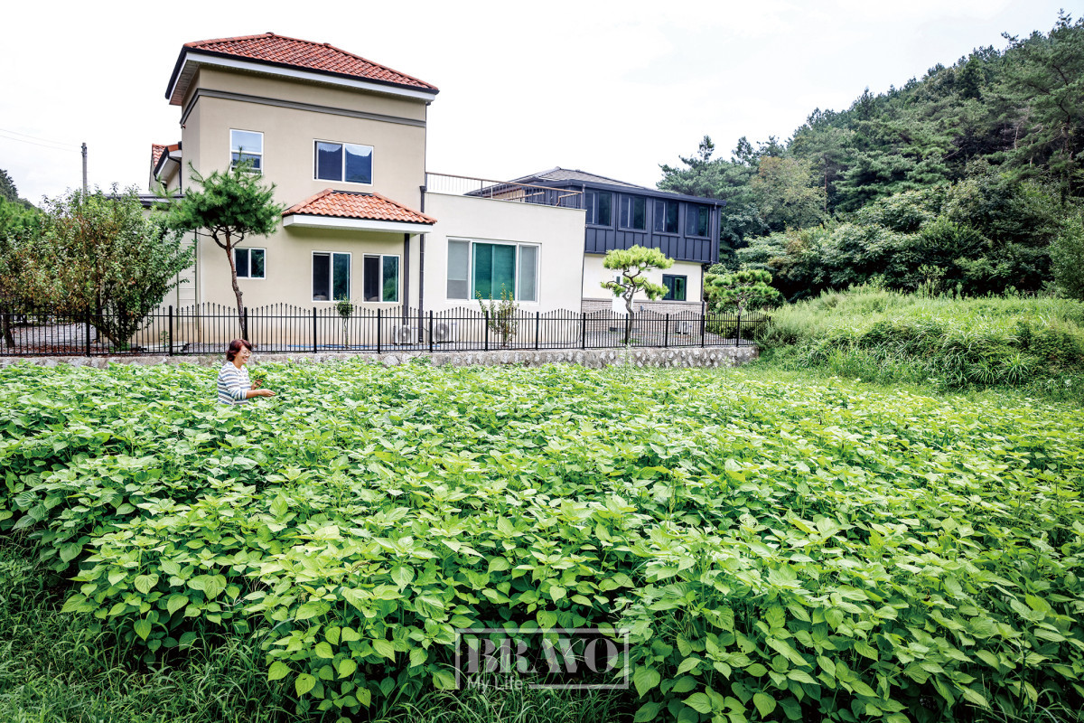 (주민욱 프리랜서)