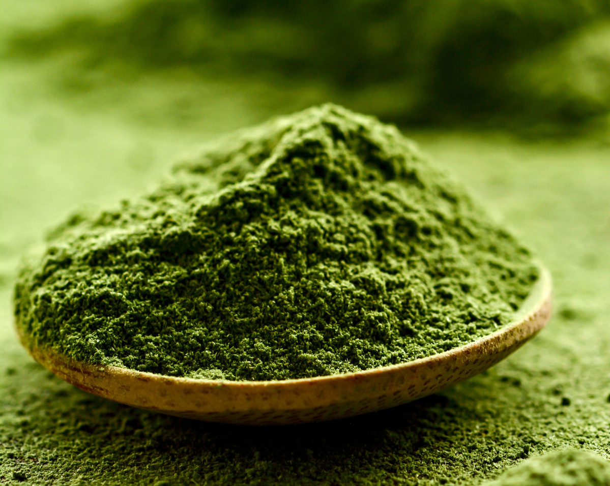 λ보, ηΎ λ€κ΅μ  μ»€νΌ νλμ°¨μ΄μ¦μ 482μ΅ λ§μ°¨ μ₯κΈ° κ³΅κΈ κ³μ½β¦μλ
 λ§€μΆ 48.6%