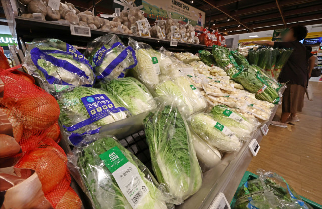 ▲서울 시내의 한 대형마트에 진열된 배추 모습. (연합뉴스)