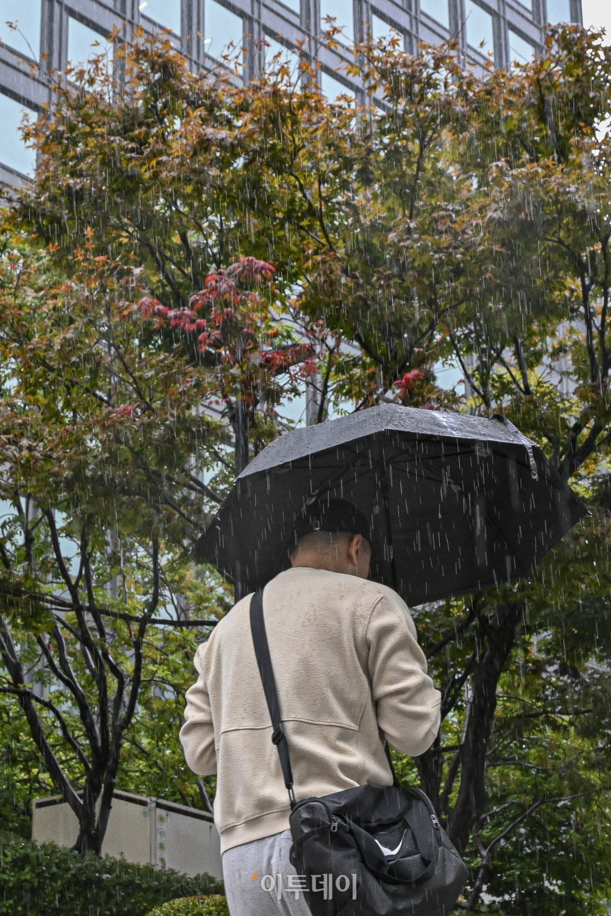 (조현호 기자 hyunho@)