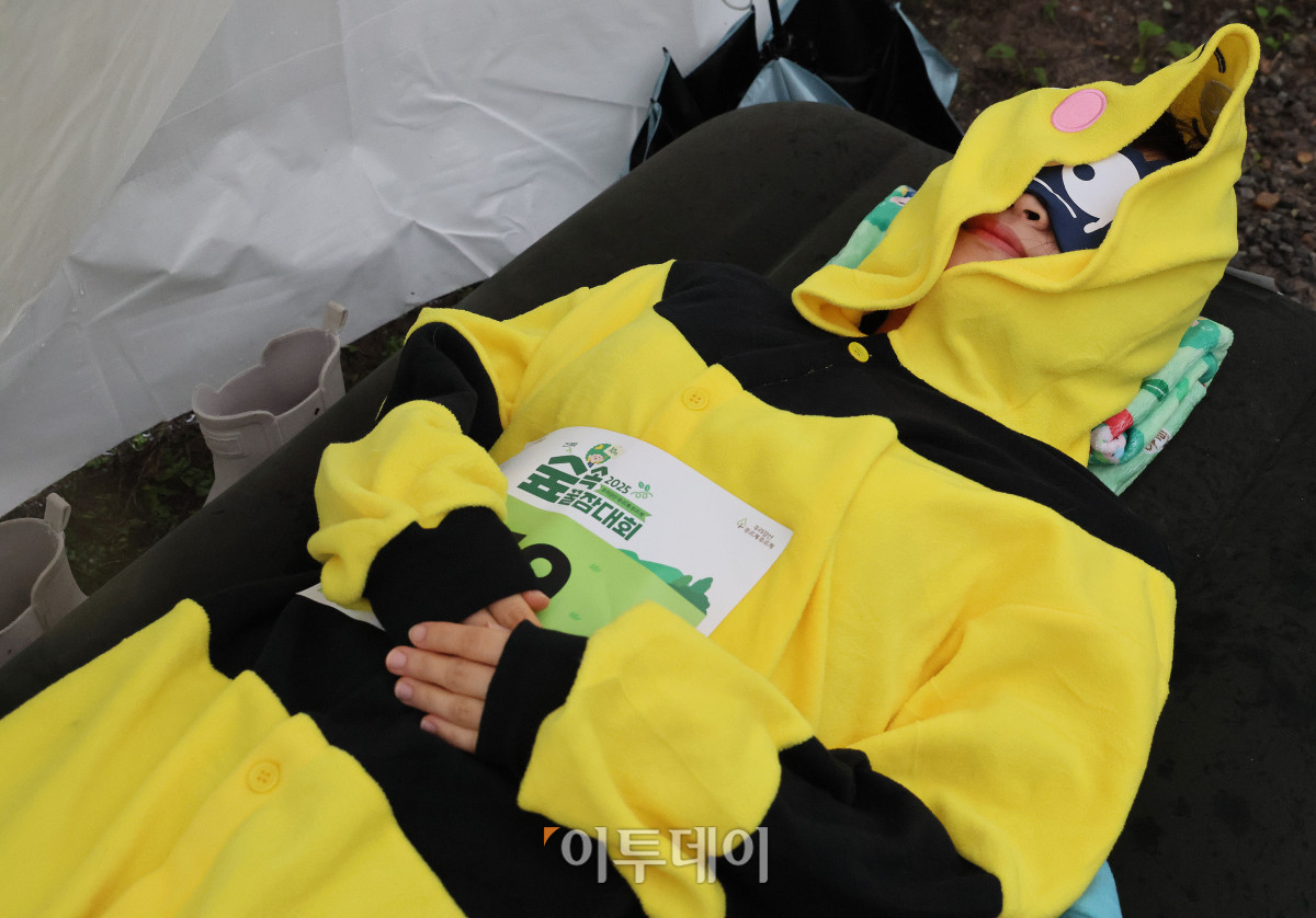 ▲28일 경기도 남양주시 진전읍 광릉숲에서 열린 유한킴벌리 '2025 우리강산 푸르게 푸르게 숲속 꿀잠대회'에서 참가자들이 잠을 자고 있다. 사진제공=유한킴벌리