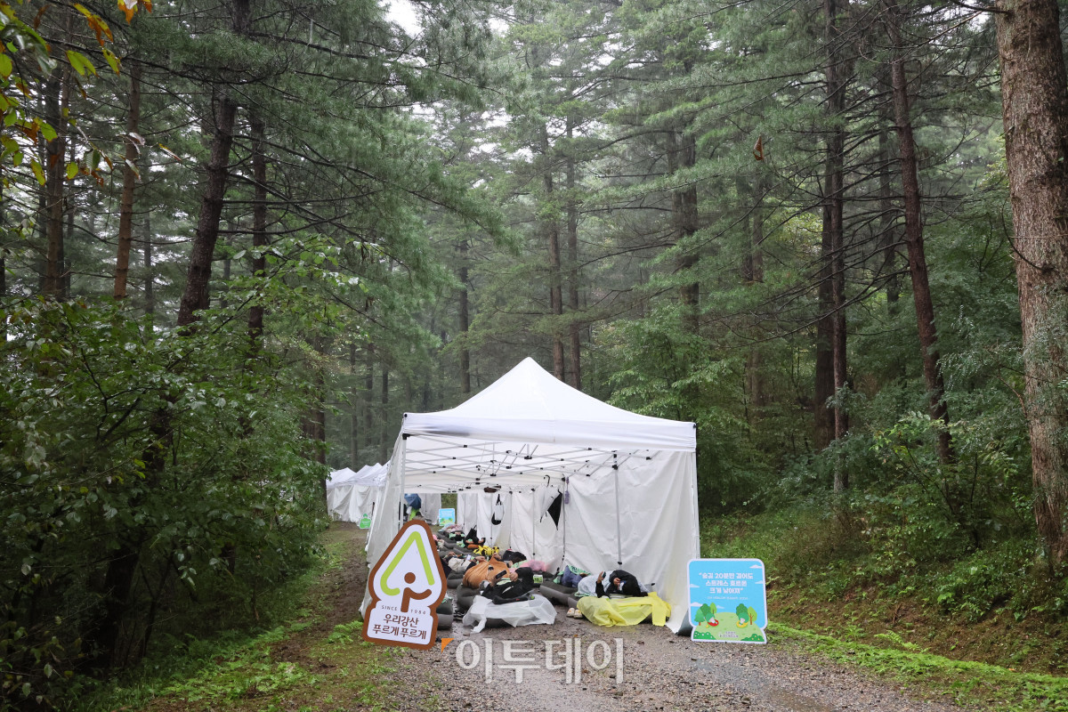 ▲28일 경기도 남양주시 진전읍 광릉숲에서 열린 유한킴벌리 '2025 우리강산 푸르게 푸르게 숲속 꿀잠대회'에서 참가자들이 잠을 자고 있다. 사진제공=유한킴벌리