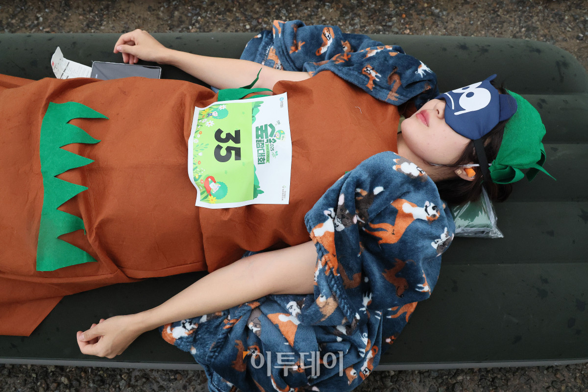 ▲28일 경기도 남양주시 진전읍 광릉숲에서 열린 유한킴벌리 '2025 우리강산 푸르게 푸르게 숲속 꿀잠대회'에서 참가자들이 잠을 자고 있다. 사진제공=유한킴벌리