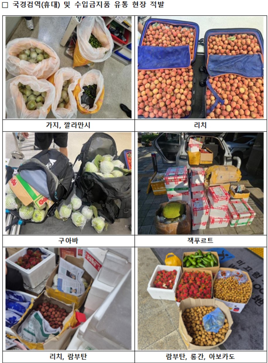 ▲국경검역(휴대) 및 수입금지품 유통 현장 적발. (사진제공=농림축산식품부)