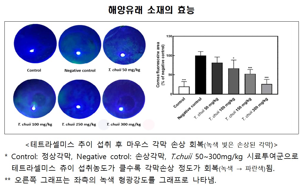 홍어껍질이 체지방 감소에 효과 인증⋯해양생명자원 4종 식약처 개별인정