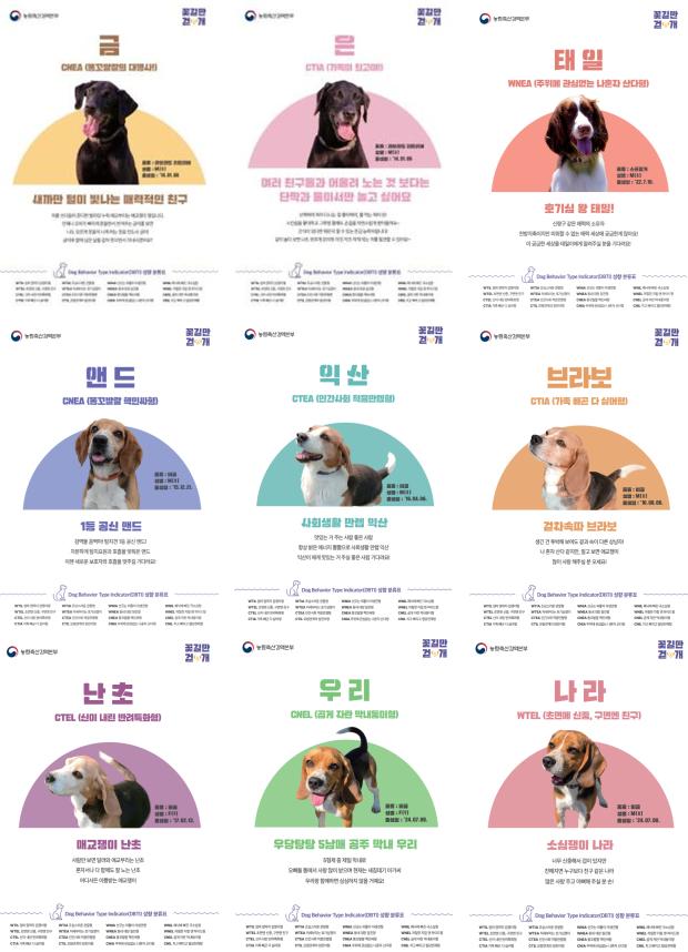 ▲은퇴 검역탐지견 민간 입양 포스터 (사진제공=농림축산검역본부)
