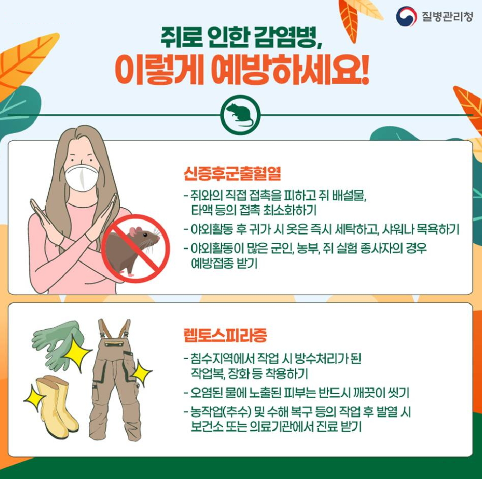 (자료제공=질병관리청)