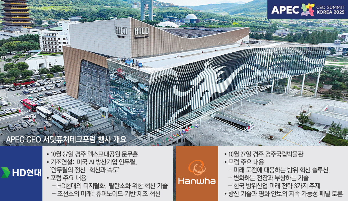 ▲그래픽=손미경 기자 sssmk@