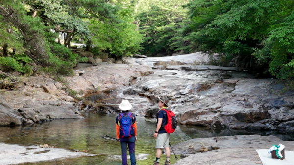 ▲'영상앨범산' 곡성 동악산(사진제공=KBS 1TV)