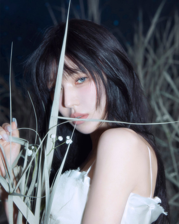 ▲웬디 (사진=어센드 제공)