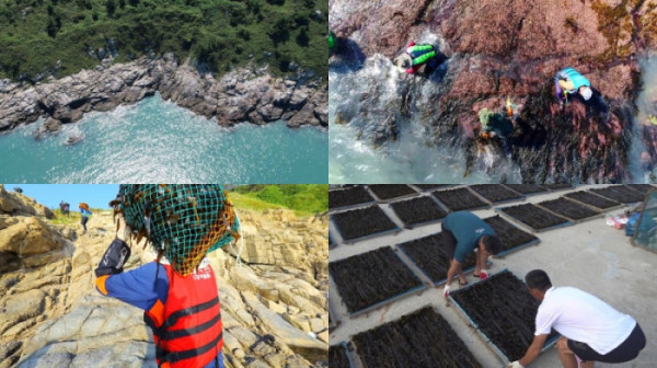 ▲'극한직업' (사진제공=EBS1 )