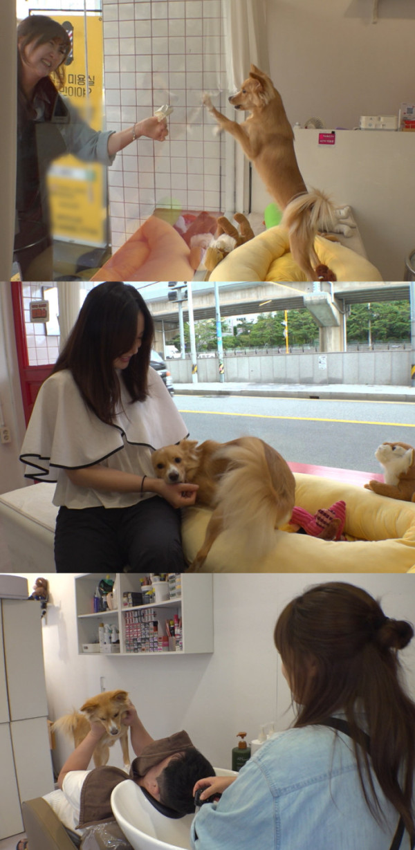 ▲'TV 동물농장' (사진제공=SBS )