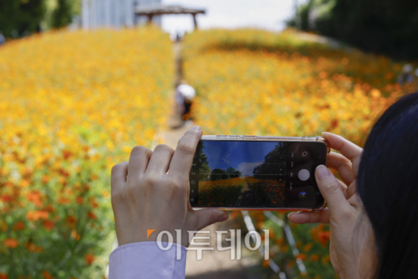 ▲낮과 밤의 길이가 같아진다는 절기상 추분(秋分)인 23일 서울 송파구 올림픽공원 들꽃마루를 찾은 시민들이 황하코스모스를 바라보며 가을 정취를 만끽하고 있다. 조현호 기자 hyunho@