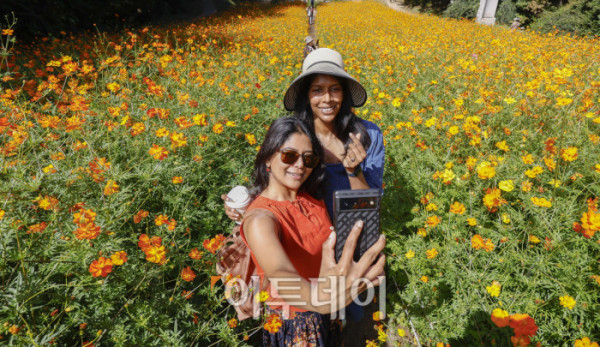 ▲낮과 밤의 길이가 같아진다는 절기상 추분(秋分)인 23일 서울 송파구 올림픽공원 들꽃마루를 찾은 외국인 관광객들이 황하코스모스를 배경으로 셀카를 찍으며 가을 정취를 만끽하고 있다. 조현호 기자 hyunho@