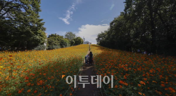 ▲낮과 밤의 길이가 같아진다는 절기상 추분(秋分)인 23일 서울 송파구 올림픽공원 들꽃마루를 찾은 시민들이 황하코스모스를 바라보며 가을 정취를 만끽하고 있다. 조현호 기자 hyunho@
