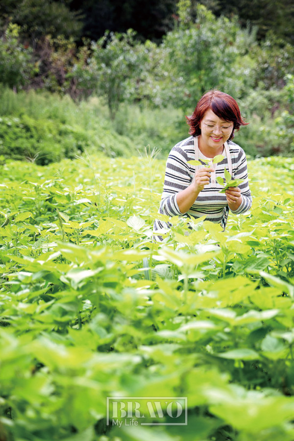 (주민욱 프리랜서)