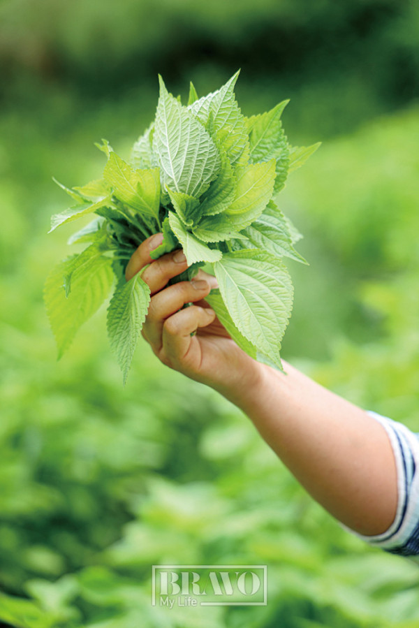 (주민욱 프리랜서)