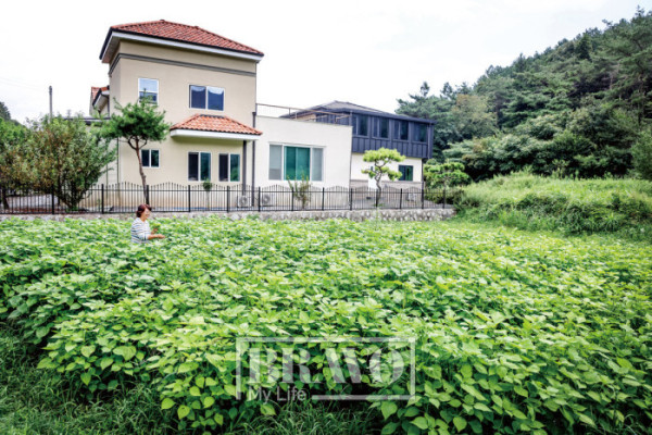 (주민욱 프리랜서)