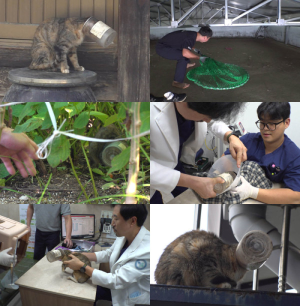 ▲'TV 동물농장'(사진제공=SBS )