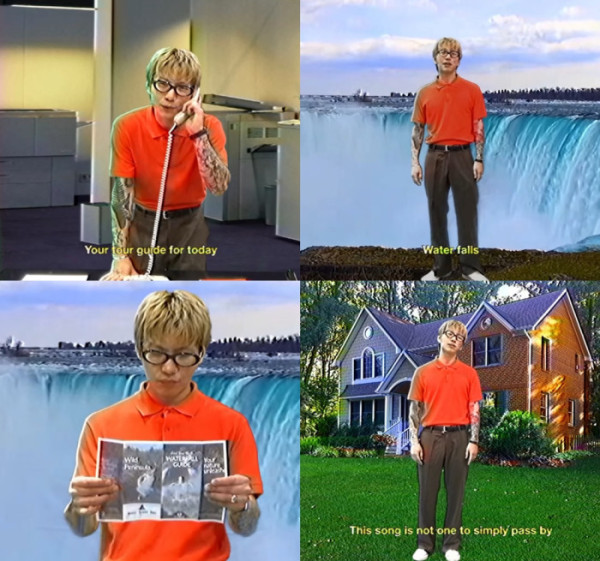 ▲구피(사진 = WAVY(웨이비) 제공)