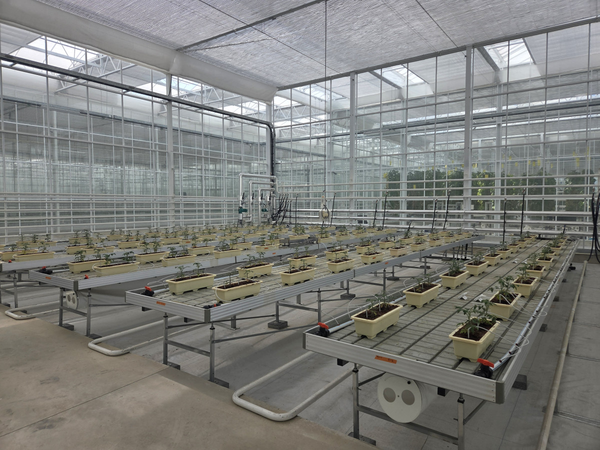 ▲소형 DAC 설비 실증이 이뤄지고 있는 경상북도 상주 스마트팜혁신밸리 내 에코프로에이치엔의 온실. (사진제공=에코프로에이치엔)
