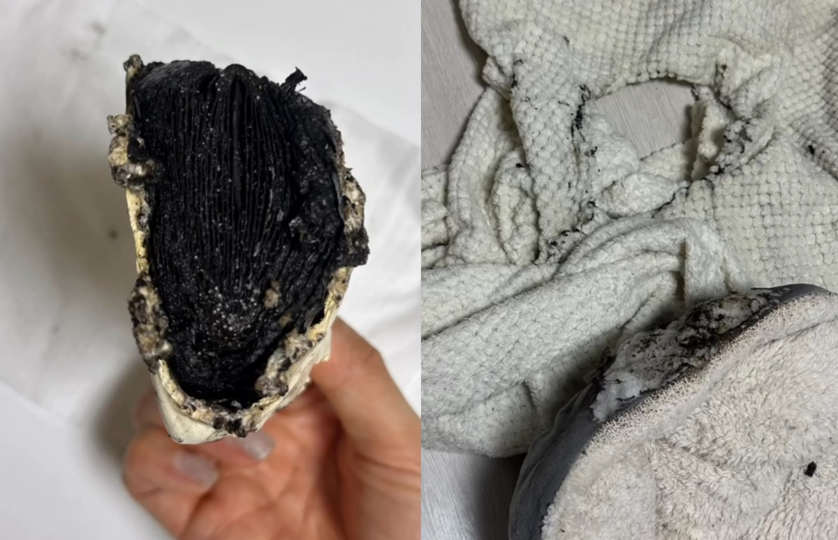 (출처=A 씨 SNS 캡처)