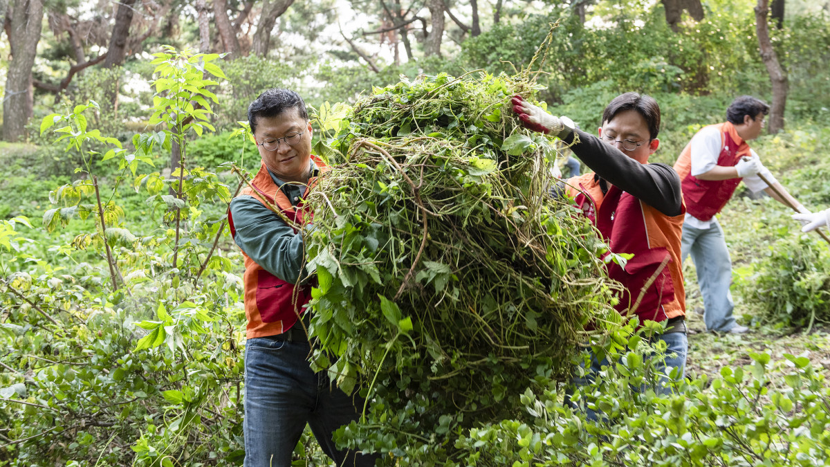 ▲이호정 SK네트웍스 대표이사와 회사 구성원들이 1일 남산공원 소래풀군락지에서 환경정화 활동을 실시했다. (사진제공=SK네트웍스)