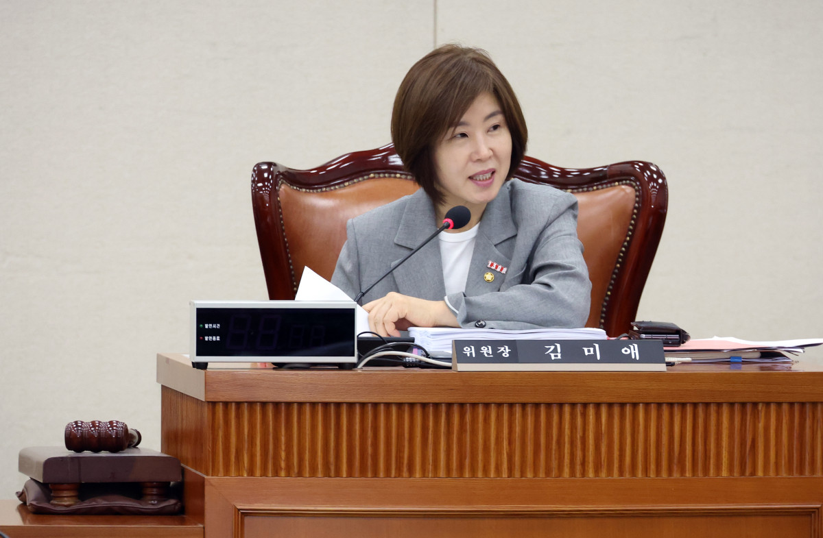 ▲김미애 국회 보건복지위원회 법안심사제1소위원장이 19일 서울 여의도 국회에서 열린 소위원회를 주재하고 있다. 2025.08.19.  (뉴시스)