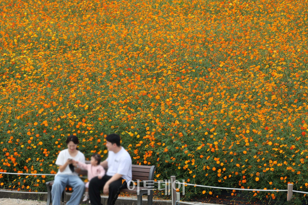 ( 고이란 기자 photoeran@)