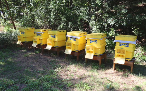 ▲이케아 매장 야외공간에 설치된 양봉통. (사진제공=이케아 코리아 )