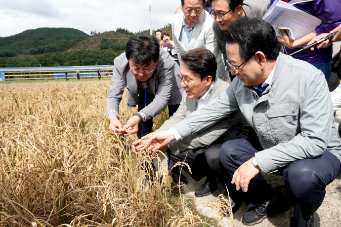 ▲김민석 국무총리와 김영록 전남도지사가 최근 벼 깨씨무늬병 피해지역 현장인 장흥군 안양면 해창리 일원을 방문, 피해 현황을 살펴보고 있다. (사진제공=전남도)