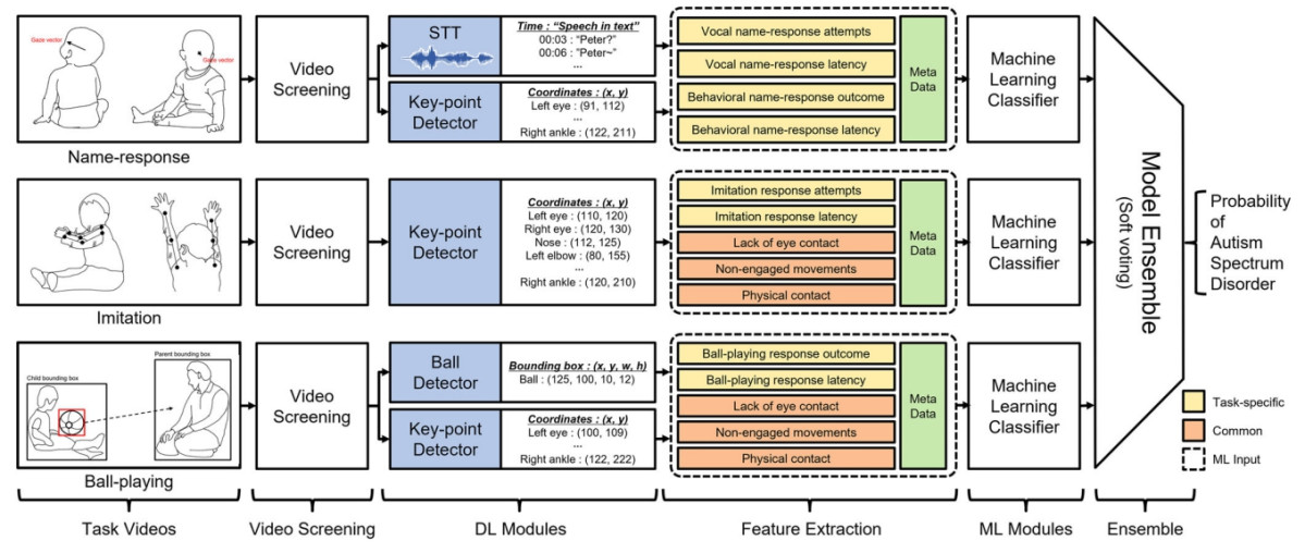 ▲AI 기반 자폐스펙트럼장애 조기 선별 과정. 이름 반응, 모방, 공놀이 영상을 분석해 음성·자세·공 움직임을 행동 지표로 변환하고, 이를 종합해 자폐 가능성을 예측한다. (서울대병원)