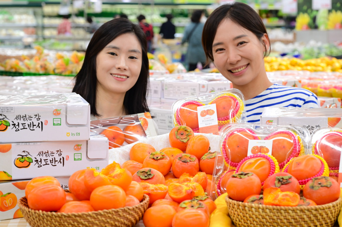 ▲14일 서울 서초구 하나로마트 양재점에서 모델들이 가을 제철 과일인 '청도 반시'를 소개하고 있다. (사진제공=농협유통)