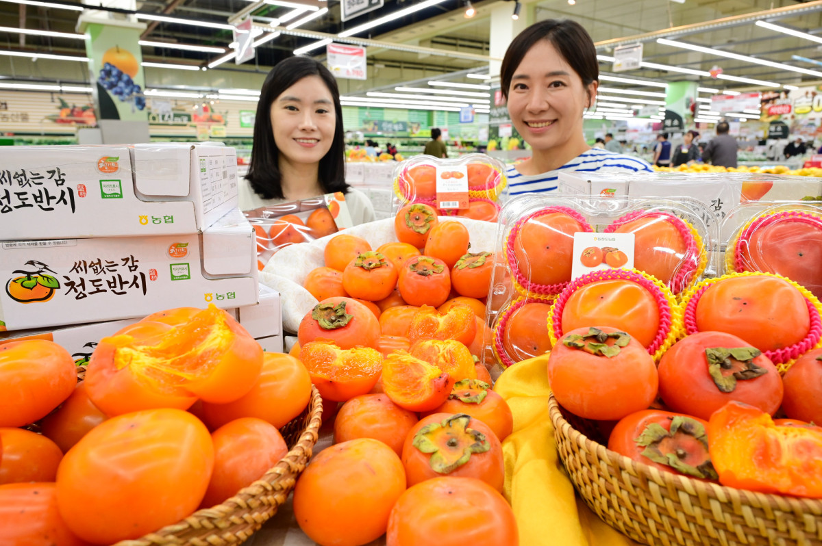 ▲14일 서울 서초구 하나로마트 양재점에서 모델들이 가을 제철 과일인 '청도 반시'를 소개하고 있다. (사진제공=농협유통)