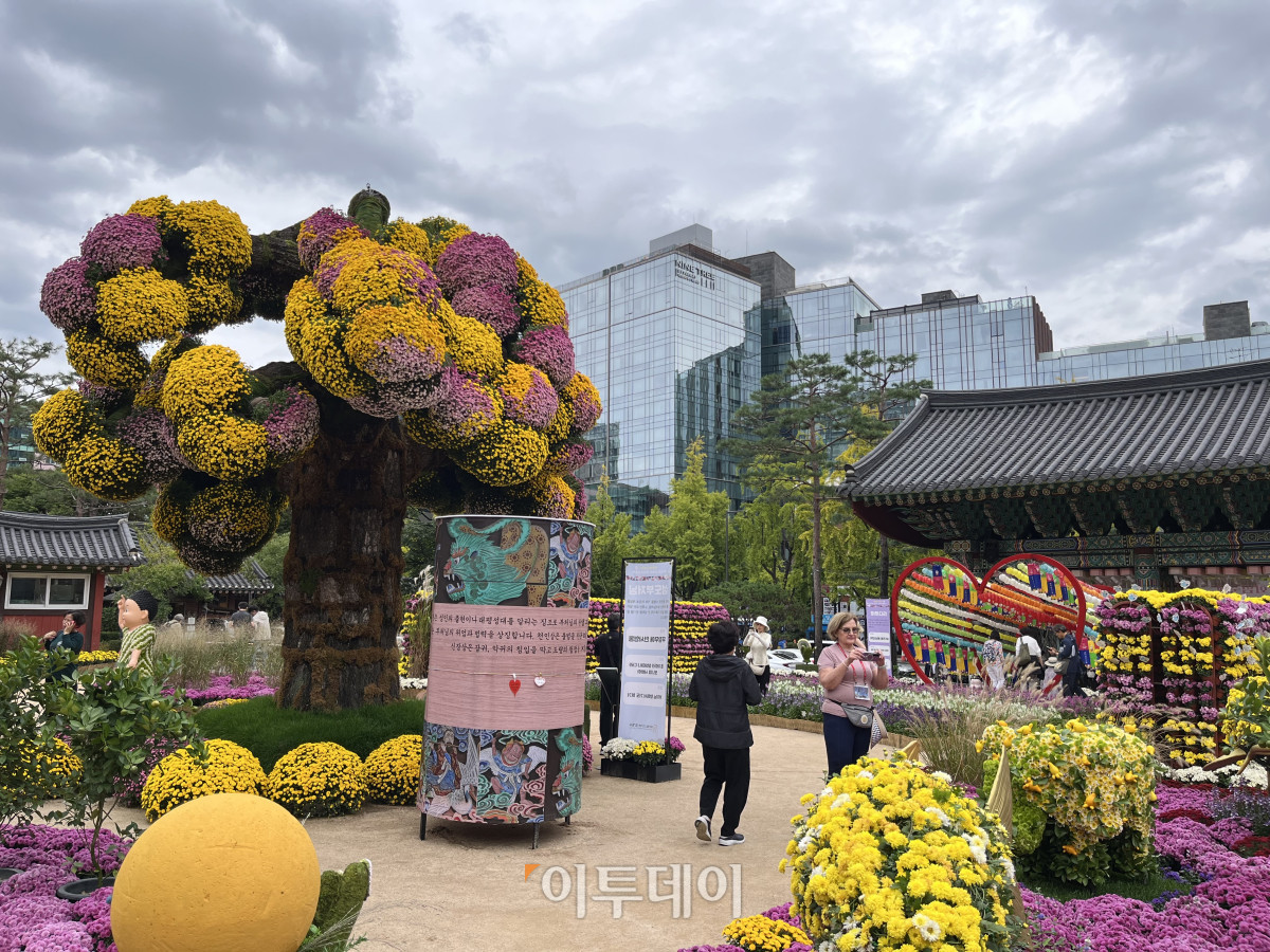 ▲15일 서울 종로구 조계사에서 국화화엄축제를 찾은 방문객들이 국화를 보고 있다. 황민주 수습기자 minchu@