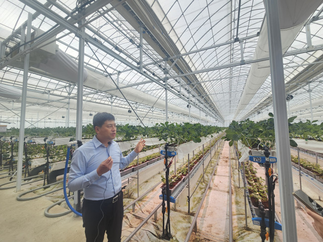 ▲박대성 스미후루코리아·에스피아그리 대표가 15일 에스피아그리 스마트팜 미디어투어에서 설명을 하고 있다.   (사진=정영인 기자 oin@)