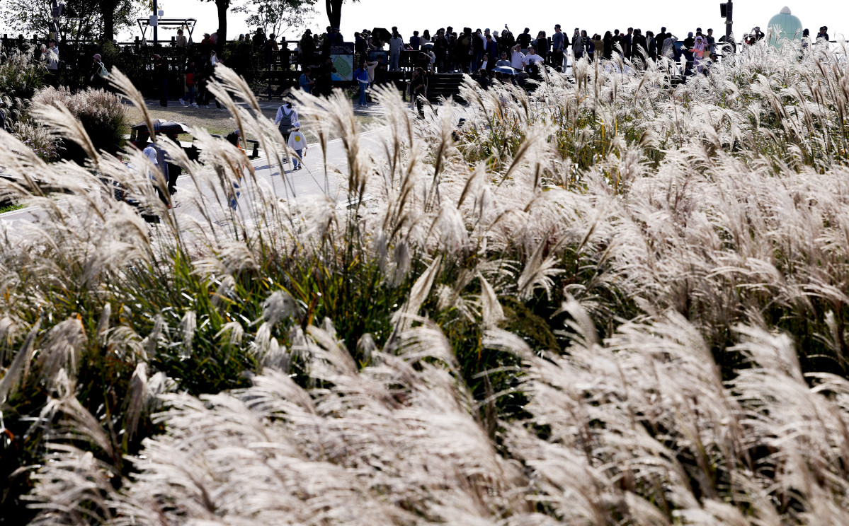 ▲완연한 가을 날씨를 보인 3일 서울 마포구 하늘공원을 찾은 시민들이 즐거운 시간을 보내고 있다. 조현호 기자 hyunho@(이투데이DB)