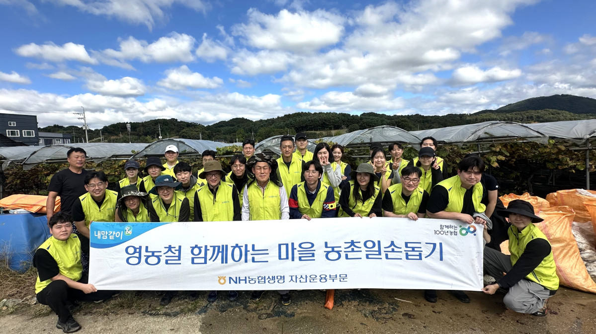 ▲16일 NH농협생명) 자산운용부 임직원들이 경기 포천시에서 농촌일손돕기를 실시했다. (제공 NH농협생명)