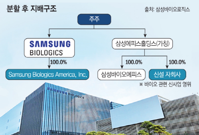 (그래픽=손미경 기자 sssmk@)