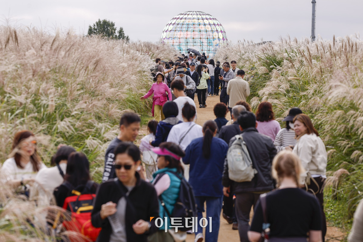 ▲완연한 가을날씨를 보인 19일 서울 마포구 하늘공원에서 열린 서울억새축제를 찾은 시민들이 주말을 즐기고 있다. 약 6만평 규모의 하늘공원 억새밭에서 열리는 2025 서울억새축제는 억새밭뿐 아니라 다양한 전시와 곳곳에 조형물과 미디어아트, 포토존이 설치돼 시민들에게 다양한 볼거리를 선사한다. 서울시는 18일부터 24일까지 7일간 열리는 축제 기간 평소 오후 7시까지 운영하던 공원 개방 시간을 오후 9시까지 연장하고, 축제가 끝난 후에도 만개한 억새를 관람할 수 있도록 다음 달 2일까지는 오후 8시까지 공원을 개방한다. 조현호 기자 hyunho@